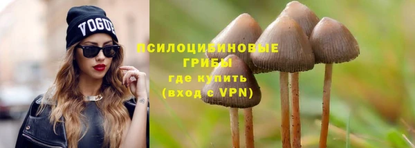 ешки Щёлкино