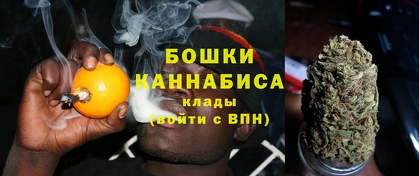 дурь Гусиноозёрск