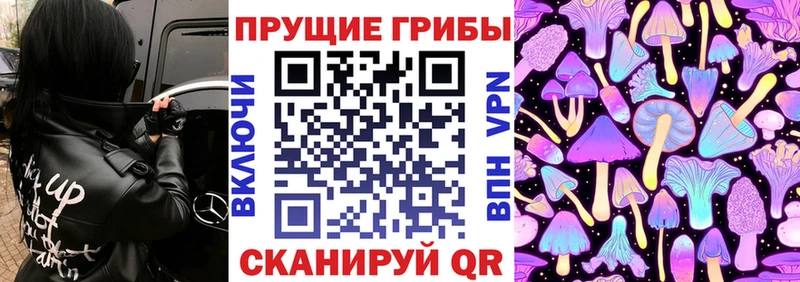 Псилоцибиновые грибы мухоморы  нарко площадка формула  Михайлов 